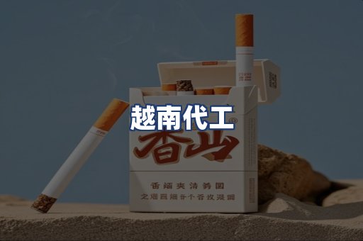 越南代工